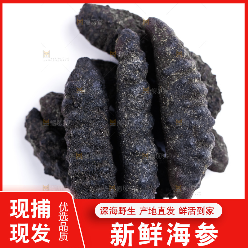 白底上放着干海参