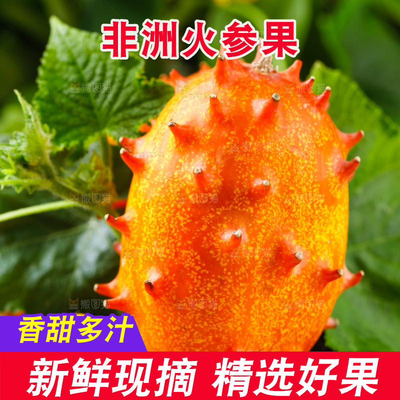 黑石板上放着刺角瓜