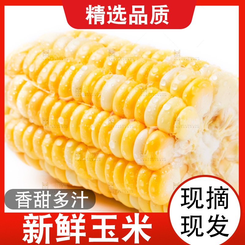 白底上摆放着玉米