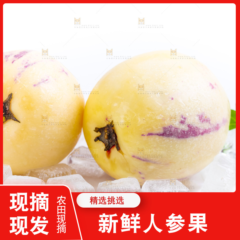 白底上摆放着甘肃民勤人参果