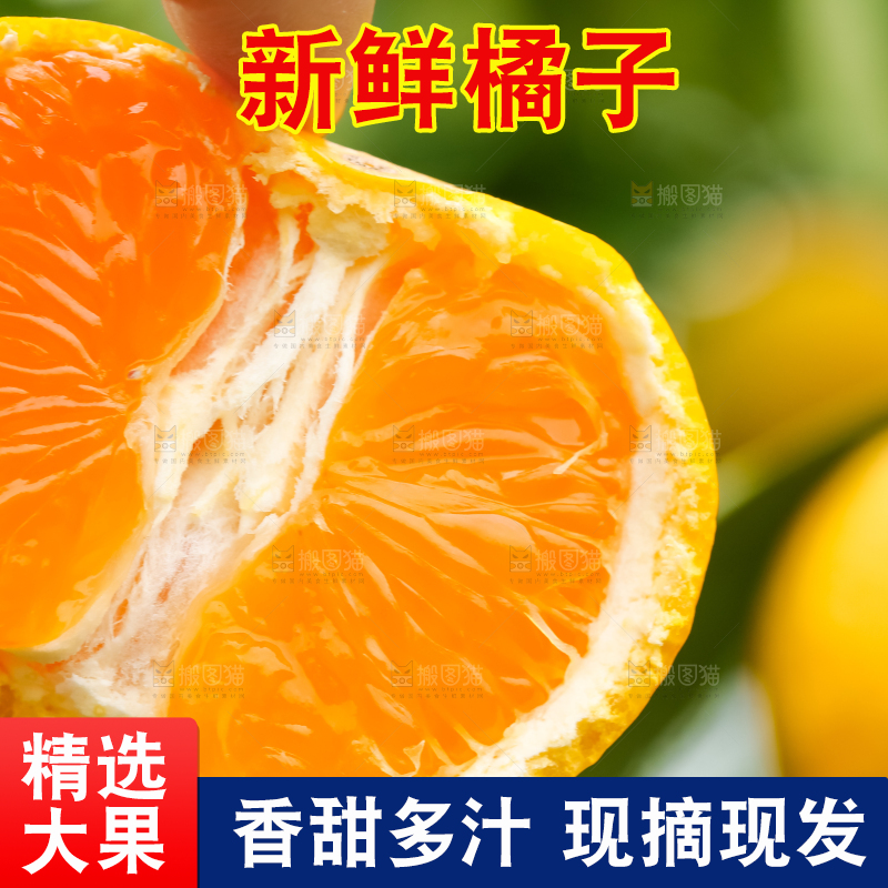 手里拿着新鲜橘子