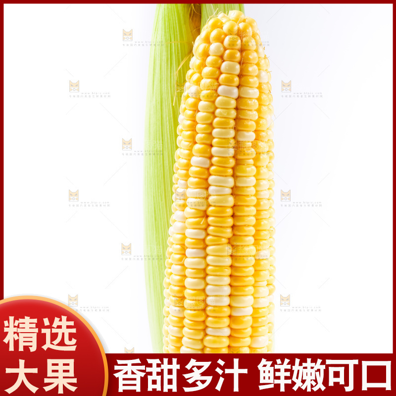白底上摆放着甜玉米