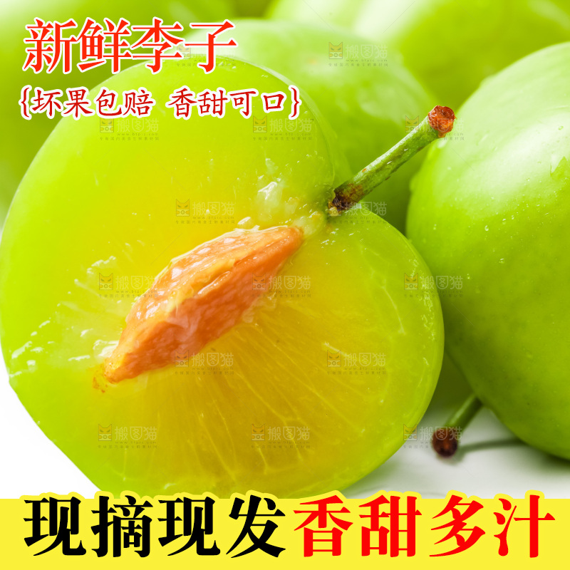 白底上摆放着青脆李