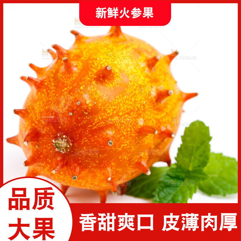 白底上摆放着刺角瓜