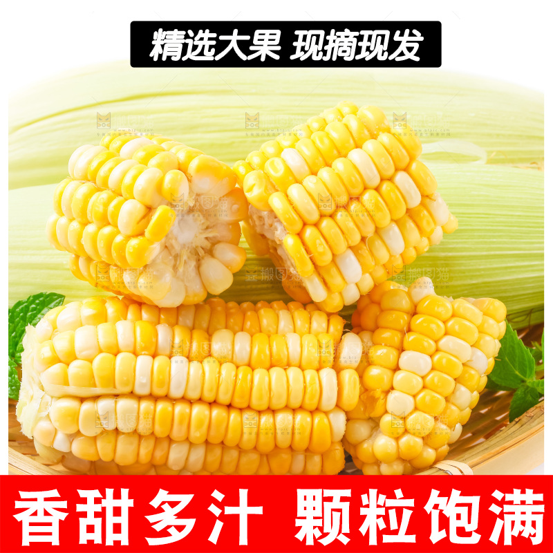 篮子里装着黄玉米