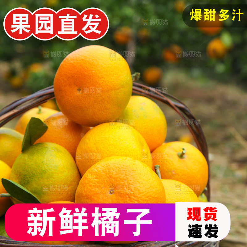 篮子里的蜜橘