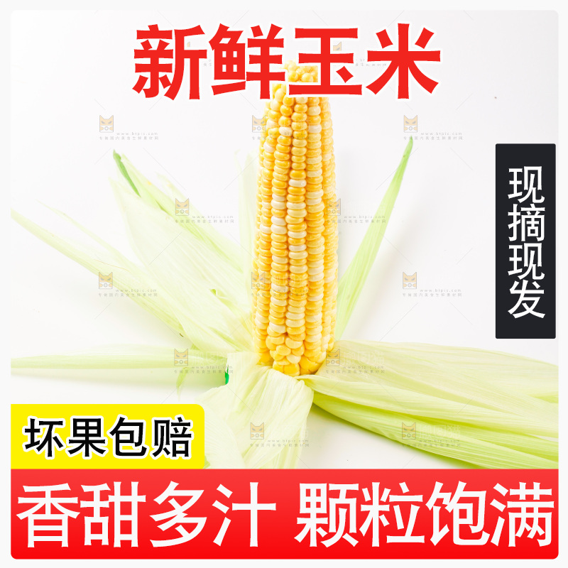白底上摆放着甜玉米
