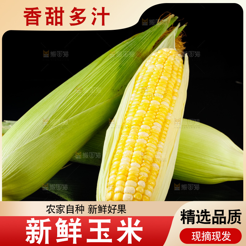 黑底上摆放着玉米棒