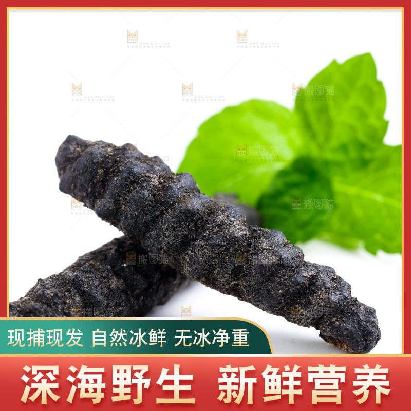 白底上摆放着海参