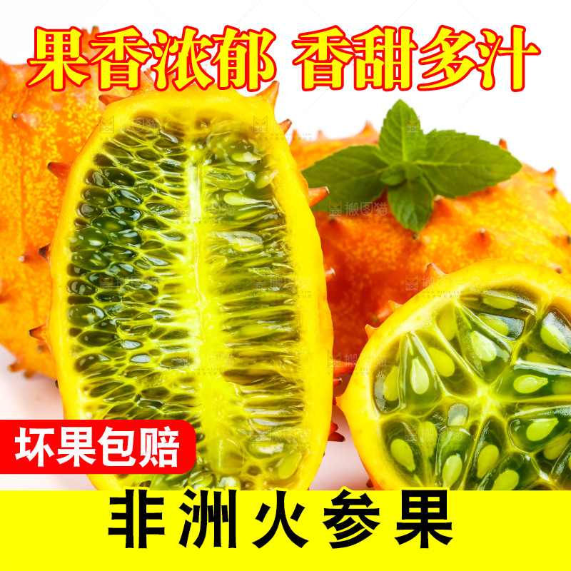 白底上摆放着刺角瓜