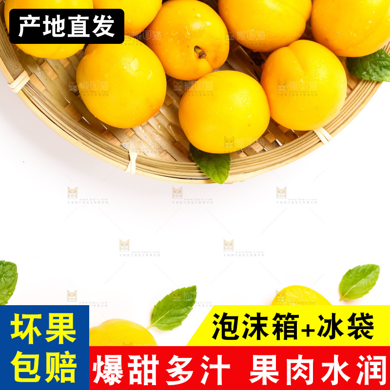 白底上放着黄杏