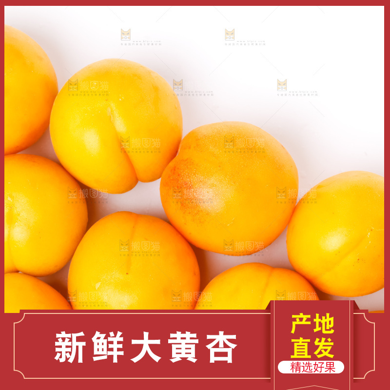 白底上放着大黄杏