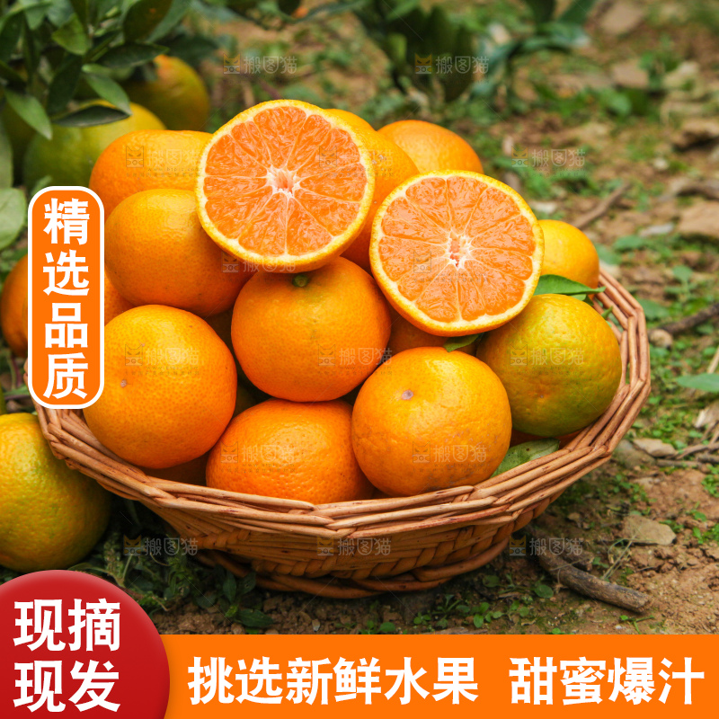 篮子里装着橘子