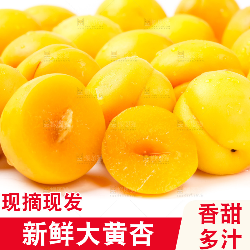 白底上放着大黄杏