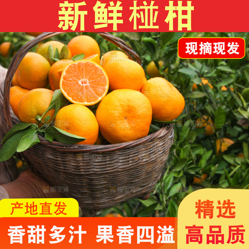 手里拿着一篮子椪柑