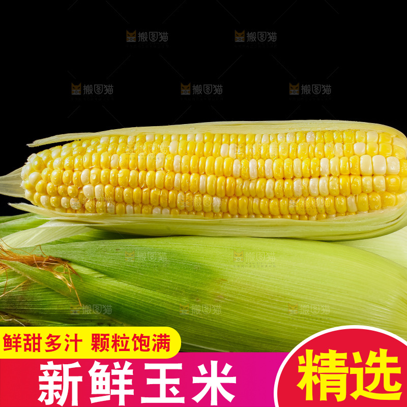 黑底上摆放着玉米棒