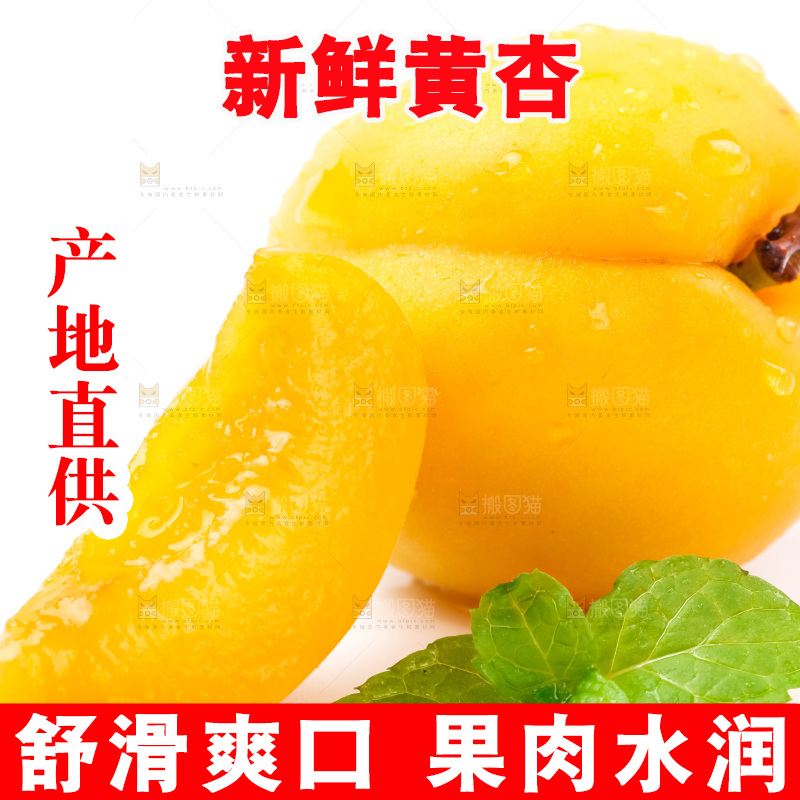 白底上放着大黄杏