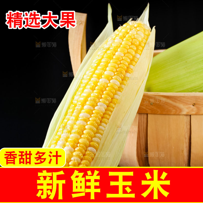 黑底上摆放着玉米棒