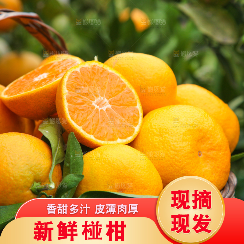 手里拿着一篮子椪柑