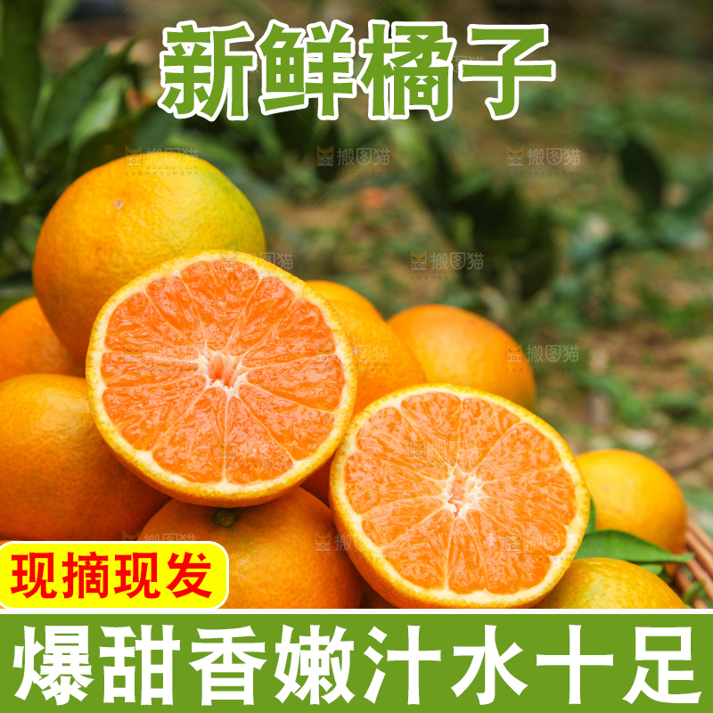 篮子里装着橘子