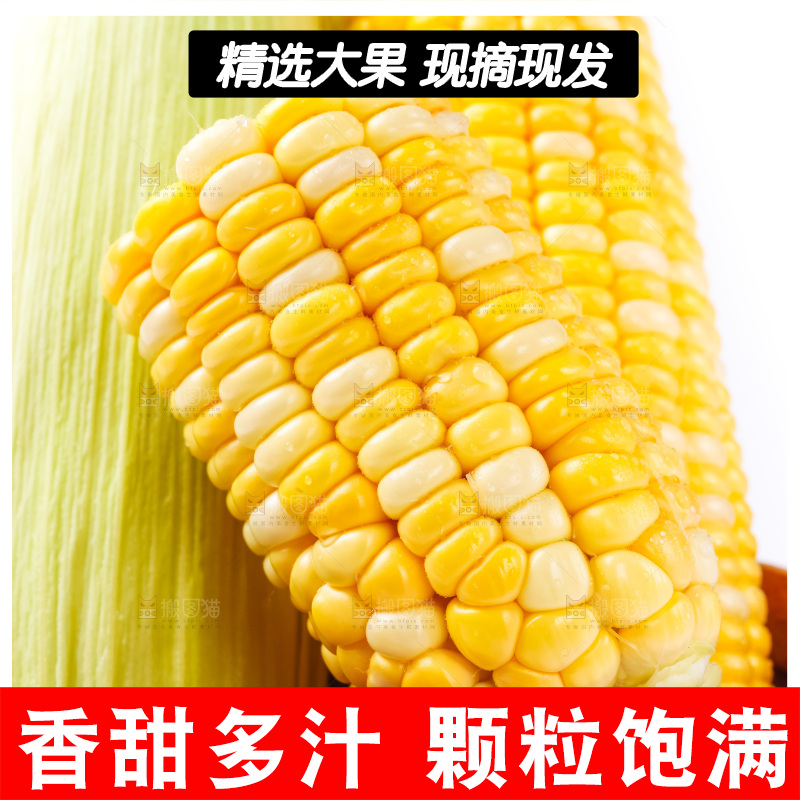 篮子里装着水果玉米