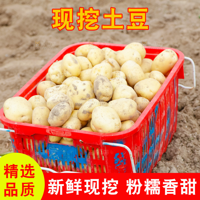 框子里装着黄心土豆