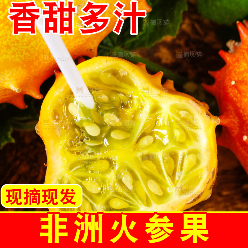 深底上摆放着海参果
