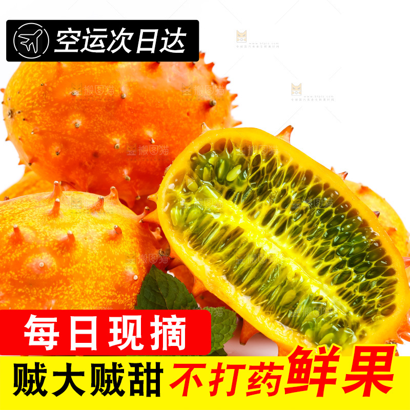 白底上的刺角瓜