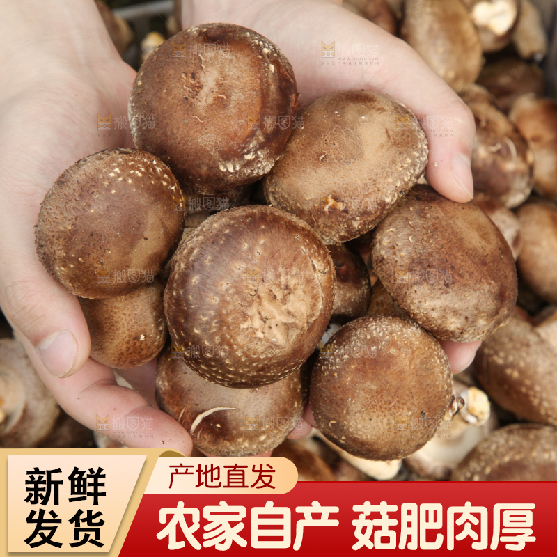 框子里装着香菇