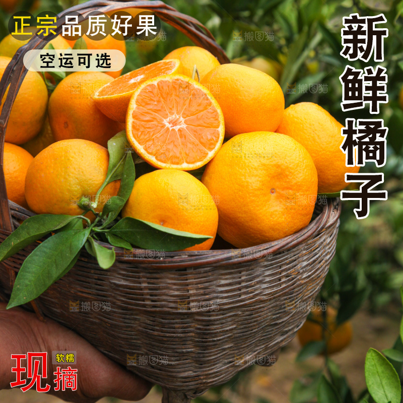 篮子里装着橘子
