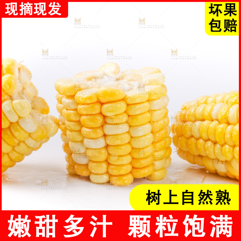 白底上摆放着玉米