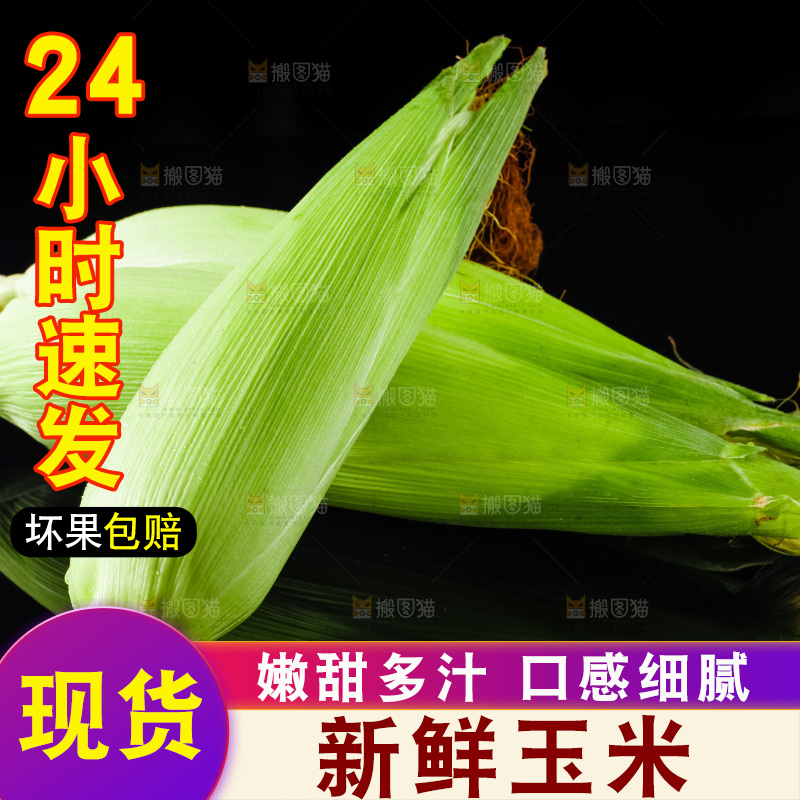 黑底上摆放着玉米棒