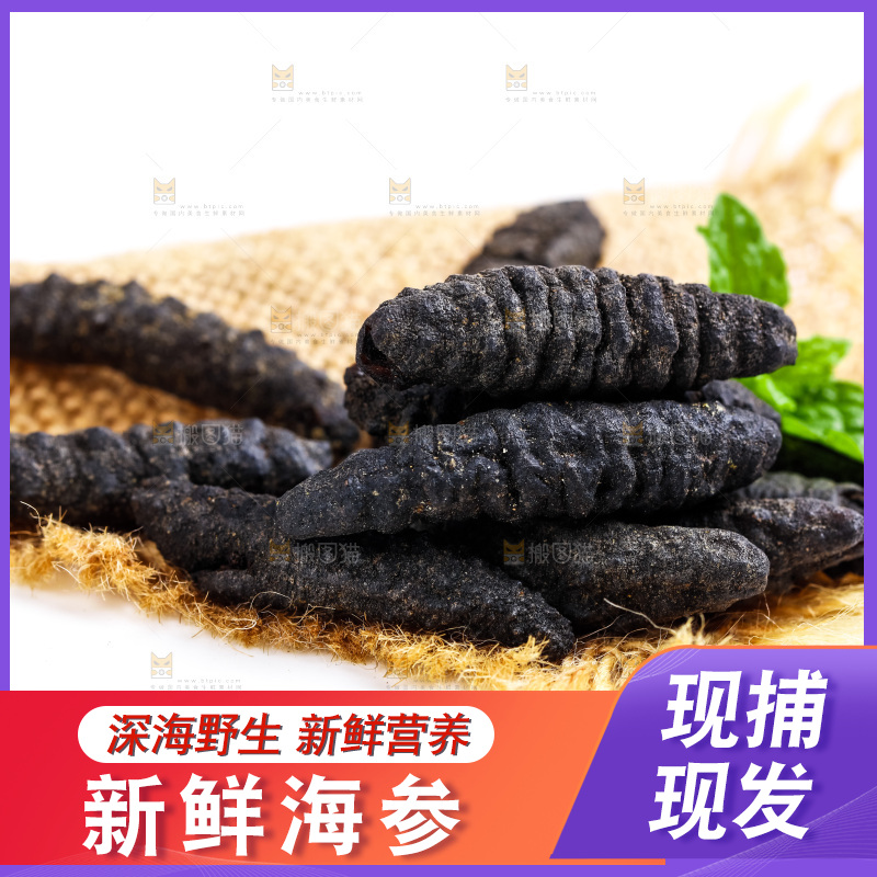 浅底上摆放着海参