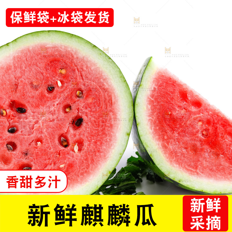 白底上摆放着麒麟瓜