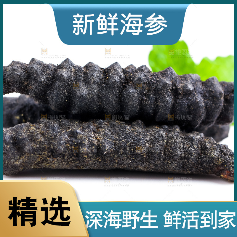 白底上摆放着海参