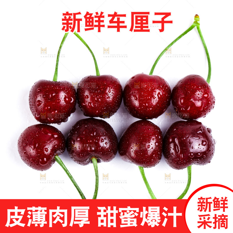 白底上的黑珍珠樱桃