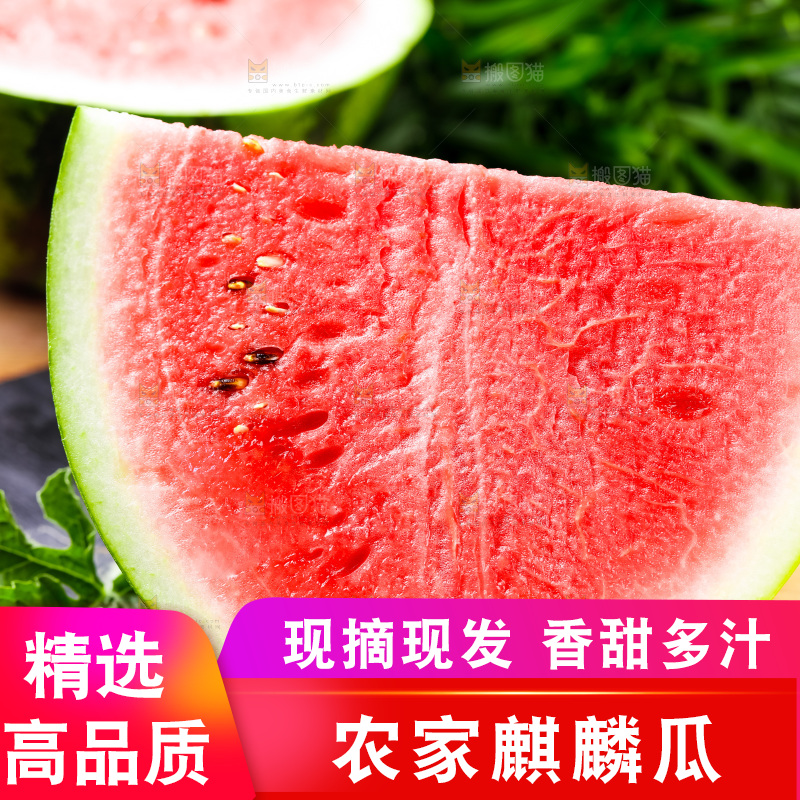 黑石板上摆放着麒麟瓜