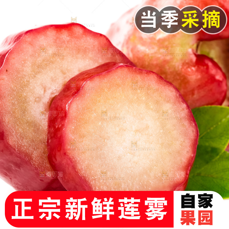 白底上摆放着海南莲雾