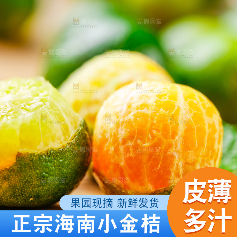 木底上摆放着小金桔