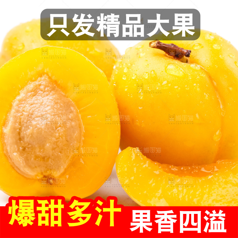 白底上放着大黄杏