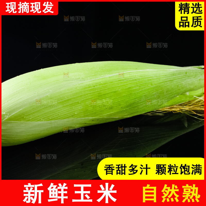 黑底上摆放着玉米棒