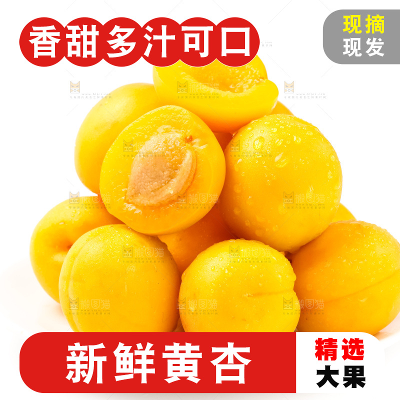 盘子里装着新鲜麦黄杏