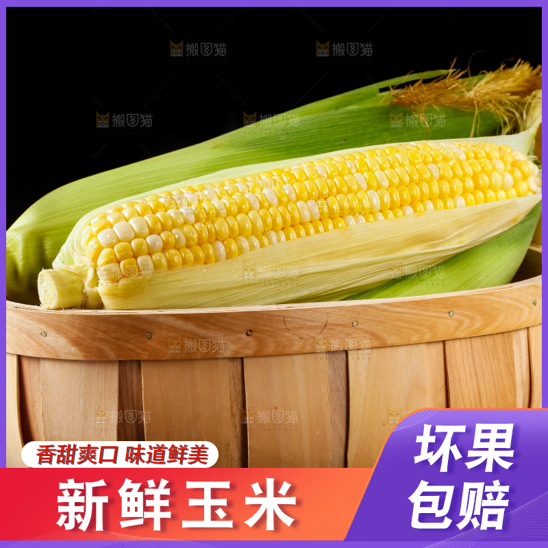 篮子里装着新鲜玉米