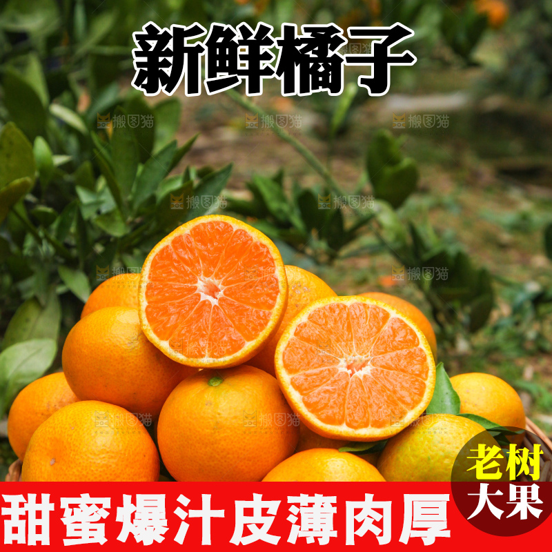 篮子里装着橘子