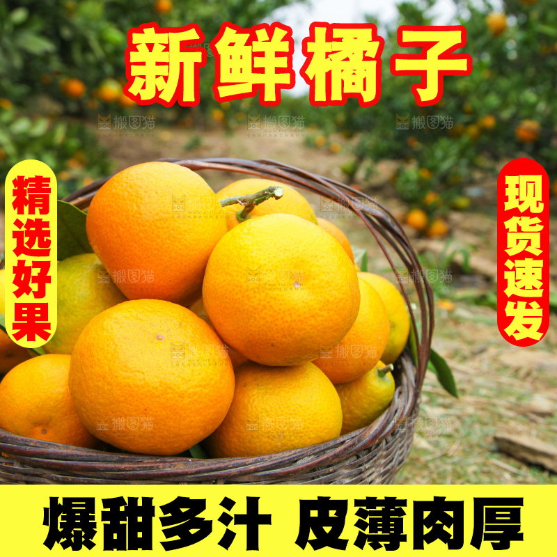 篮子里的蜜橘