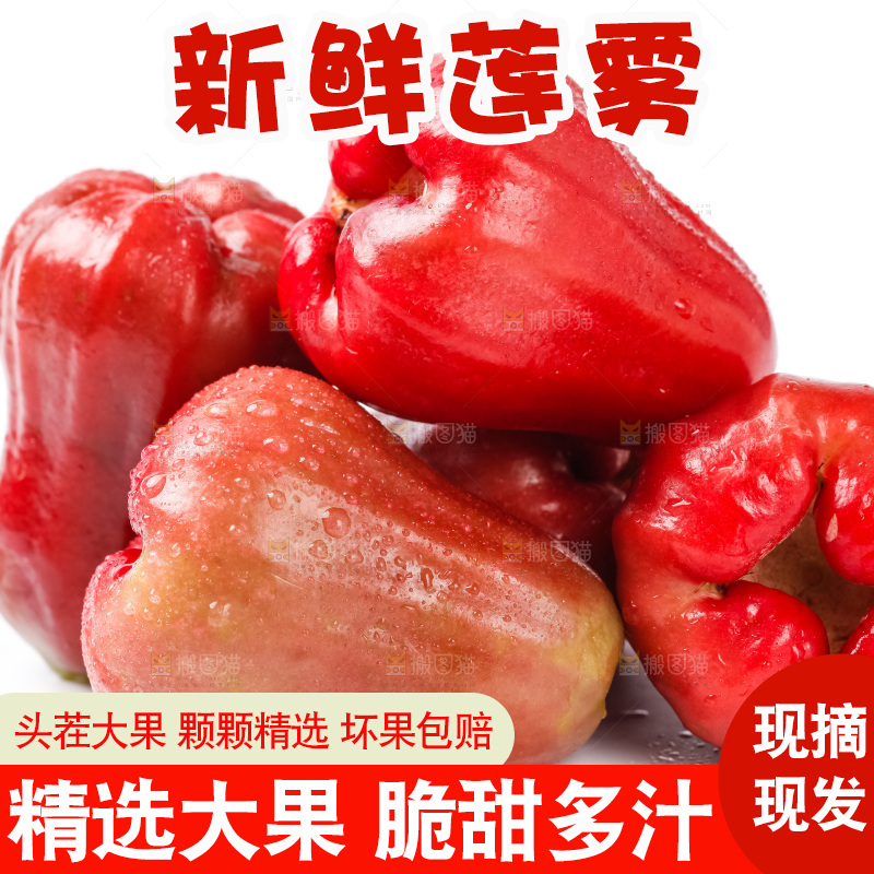 浅底上摆放着黑金刚莲雾