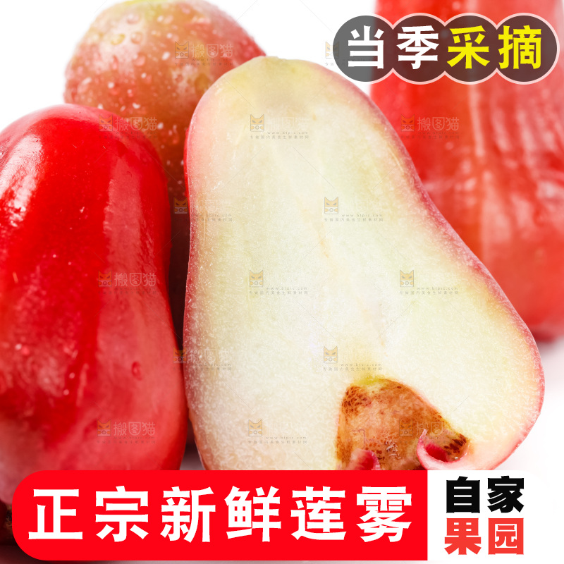 白底上摆放着新鲜莲雾