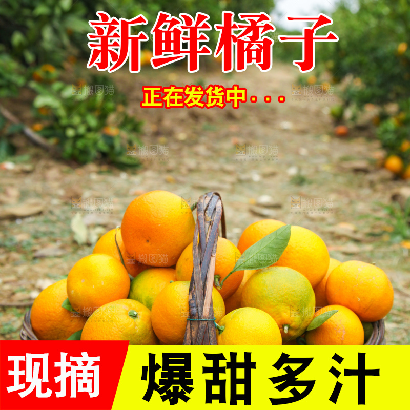 篮子里的蜜橘