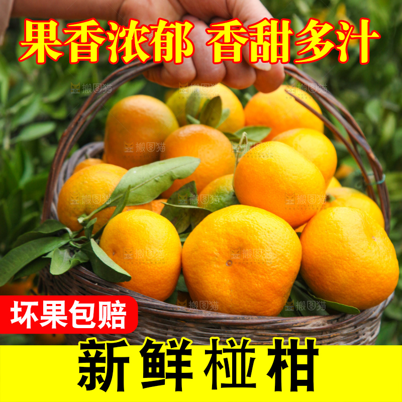 手里拿着一篮子椪柑