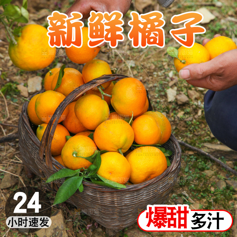 篮子里装着橘子
